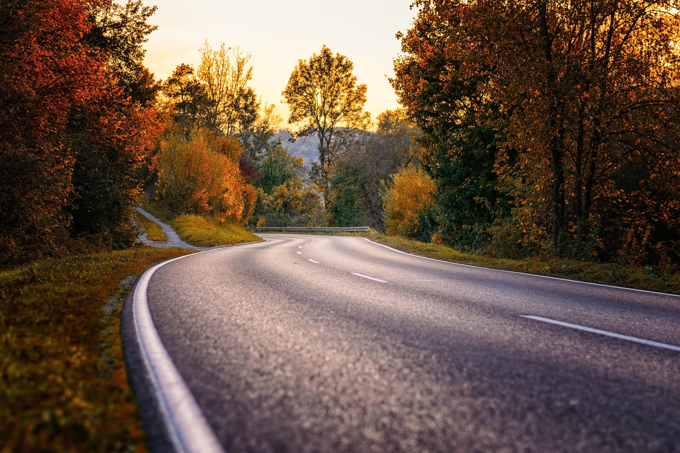 Empty Road Curve